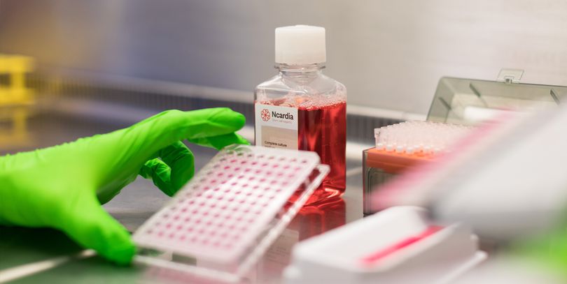 Ncardia - Lifesciences