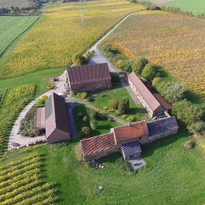 Domaine viticole