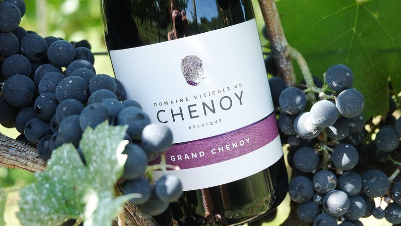 Domaine du Chenoy - vin
